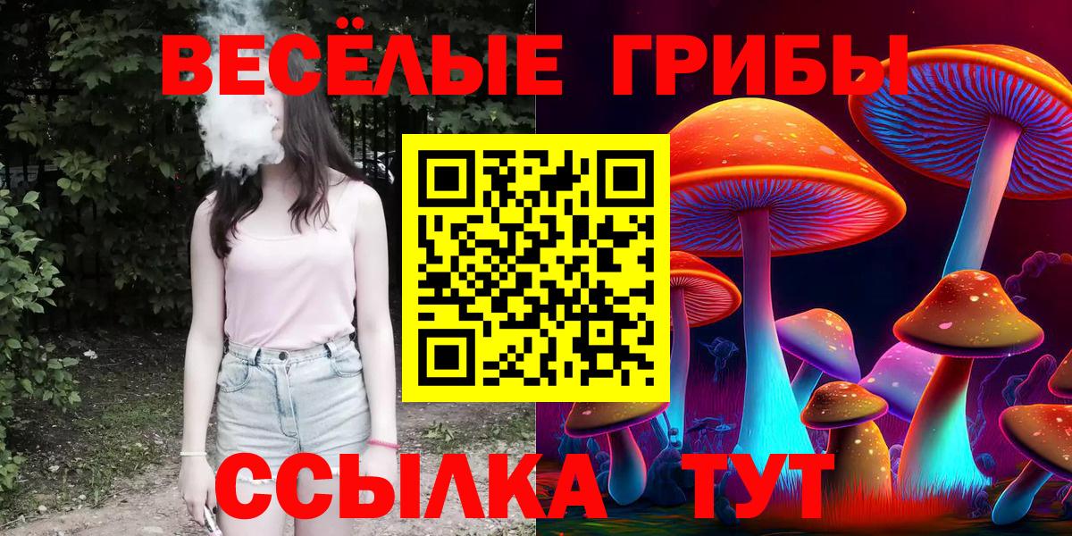Псилоцибиновые грибы MAGIC MUSHROOMS Асбест