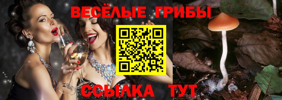 Галлюциногенные грибы MAGIC MUSHROOMS  Вход с VPN  Асбест  Галлюциногенные грибы мицелий 